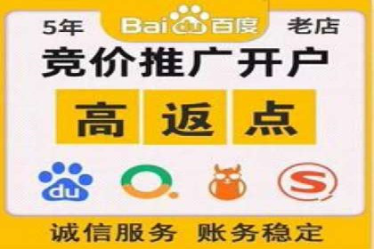 SEM托管成功案例：揭秘高效广告投放策略